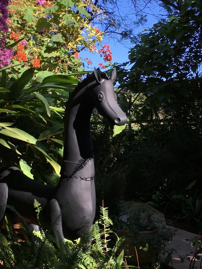 La Villa Mandarine Rabat Zewnętrze zdjęcie