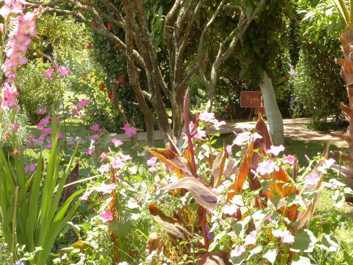 La Villa Mandarine Rabat Zewnętrze zdjęcie